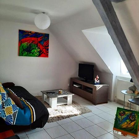 Appartement Spacieux A Ingersheim Avec Vue Sur Jardin 100 M² Экстерьер фото