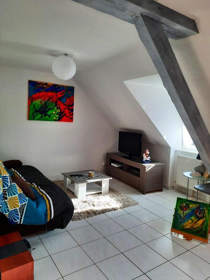 Appartement Spacieux A Ingersheim Avec Vue Sur Jardin 100 M² Экстерьер фото