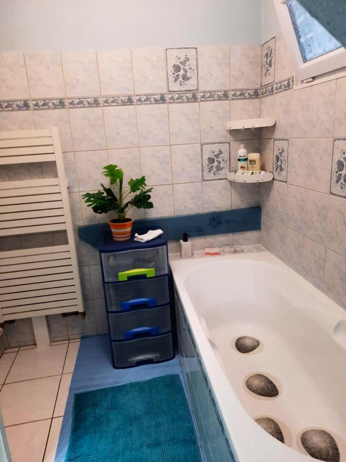 Appartement Spacieux A Ingersheim Avec Vue Sur Jardin 100 M² Экстерьер фото