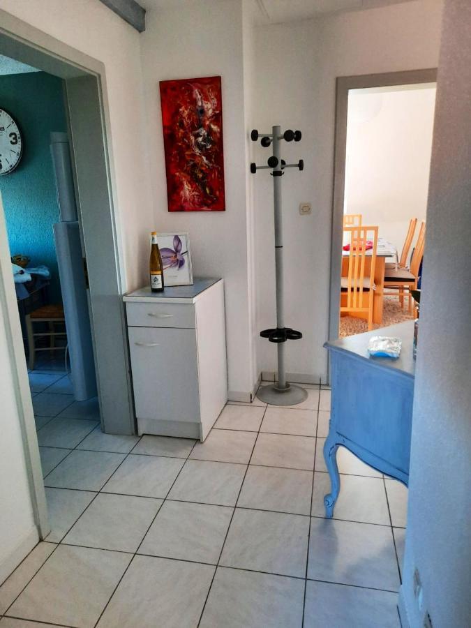 Appartement Spacieux A Ingersheim Avec Vue Sur Jardin 100 M² Экстерьер фото